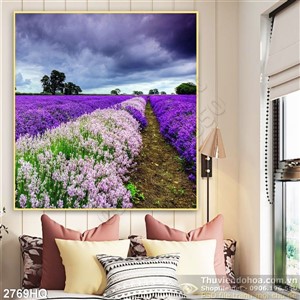 Tranh hoa Lavender trang trí phòng khách