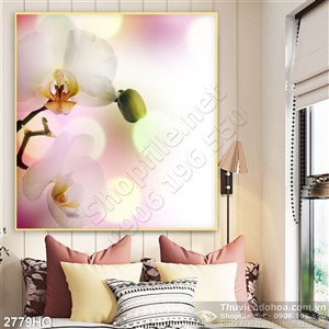 Tranh hoa Lan hồ điệp trắng treo tường đẹp