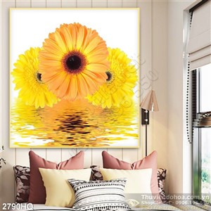 Tranh hoa đồng tiền trang trí phòng khách