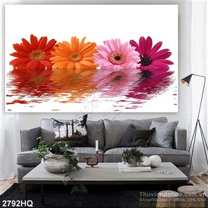 Tranh hoa đồng tiền trang trí tường