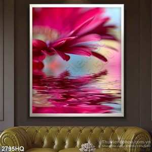 Tranh hoa đồng tiền trang trí hiện đại