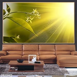 Tranh hoa lá và ánh sáng mặt trời