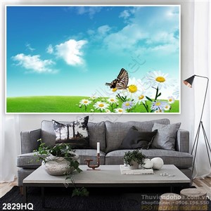 Tranh hoa cúc và thảo nguyên xanh