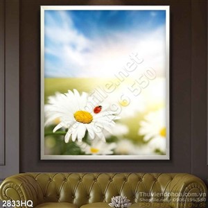 Tranh hoa Cúc trang trí phòng  khách