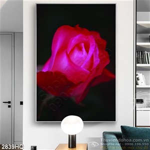 Tranh hoa hồng trang trí treo tường đẹp