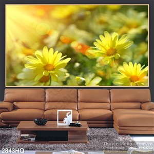 Tranh hoa Cúc trang trí tường đẹp
