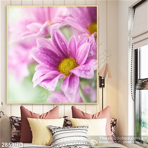 Tranh hoa Cúc trang trí treo tường đẹp