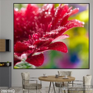 Tranh hoa đồng tiền treo tường phòng khách