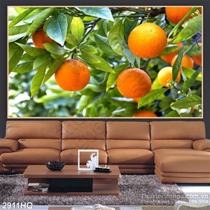 Tranh trái cam treo tường bếp