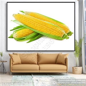 Tranh trái bắp trang trí treo tường