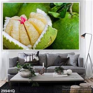 Tranh Bưởi da xanh