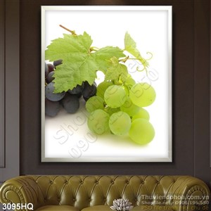 Tranh các loại nho