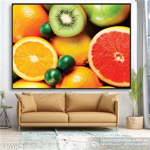 Tranh các loại hoa quả trái cây