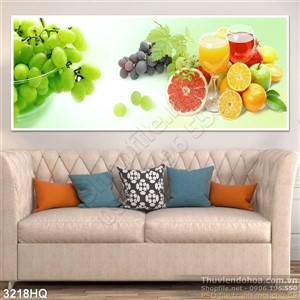 Tranh các loại trái cây ép nước