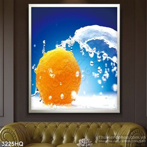 Tranh quả cam vắt