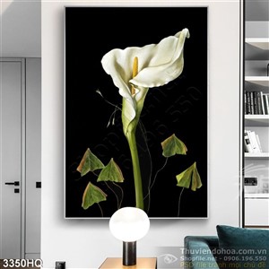 Tranh hoa Vân môn treo tường đẹp