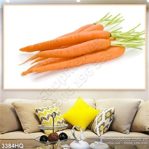 Tranh cà rốt