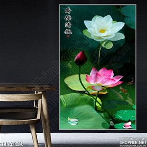 Tranh hoa sen nở trong mưa Tranh hoa sen nở trong mưa