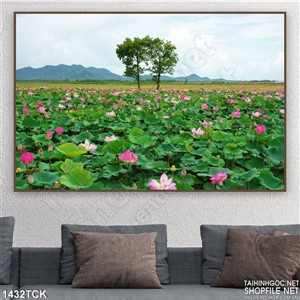 Phong cảnh đầm sen in màu Phong cảnh đầm sen in màu