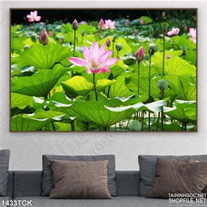 Tranh đầm sen trong nắng Tranh đầm sen trong nắng