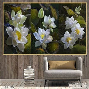 Tranh hoa sen trắng trong 3 khung hình Tranh hoa sen trắng trong 3 khung hình