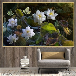 Tranh sen trắng canvas Tranh sen trắng canvas
