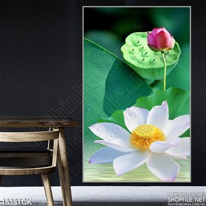 Tranh in lụa sen hồng trắng bên hồ Tranh in lụa sen hồng trắng bên hồ