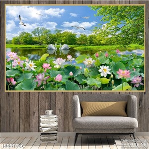 Hồ sen trong nắng Hồ sen trong nắng