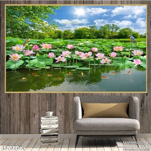 Hồ hoa sen hồng Hồ hoa sen hồng