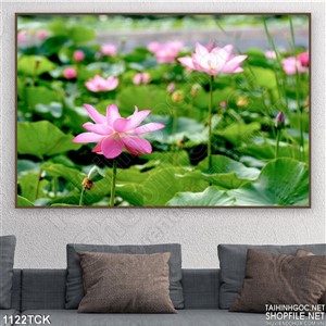 Tranh hoa sen Tranh hoa sen