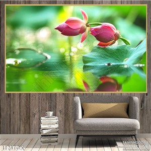 Tranh hoa sen treo tường Tranh hoa sen treo tường