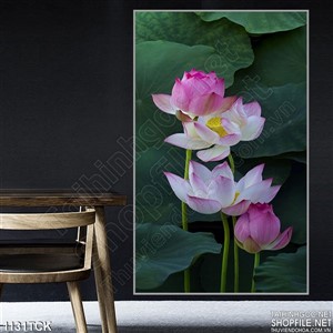 Tranh hoa sen treo phòng khách đẹp Tranh hoa sen treo phòng khách đẹp