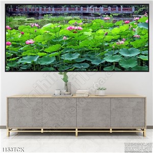 Tranh phong cảnh đầm sen Tranh phong cảnh đầm sen