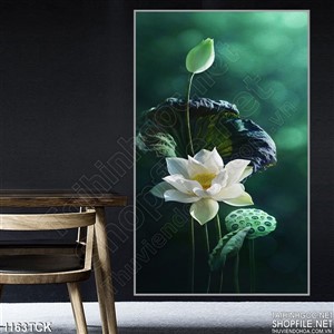 Tranh tường hoa sen trắng Tranh tường hoa sen trắng