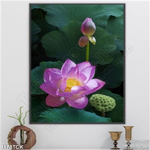 Psd tranh hoa sen Psd tranh hoa sen