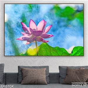 Tranh bông hoa sen nghệ thuật Tranh bông hoa sen nghệ thuật