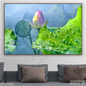 Tranh in canvas hoa sen nghệ thuật Tranh in canvas hoa sen nghệ thuật