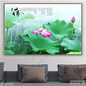 tranh hoa Sen đẹp treo tường phòng khách tranh hoa Sen đẹp treo tường phòng khách