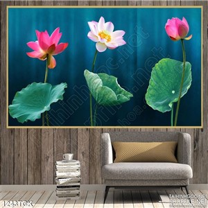 Tranh 3 bông sen Tranh 3 bông sen