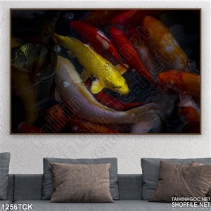 Tranh cá chép quần hội Tranh cá chép quần hội