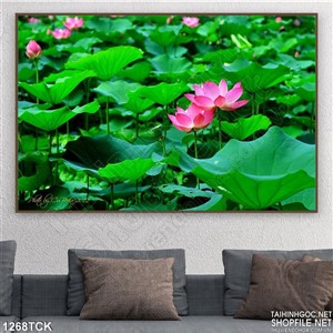 Tranh đầm sen hồng psd Tranh đầm sen hồng psd