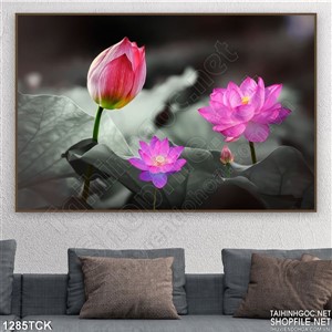 Tranh hoa sen trang trí phòng Tranh hoa sen trang trí phòng