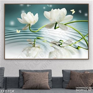 Tranh bông sen trắng trên mặt nước Tranh bông sen trắng trên mặt nước