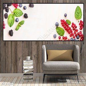 Tranh các loại quả làm nước uống