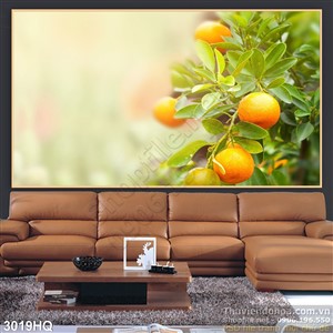 Tranh vườn quất