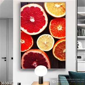 Tranh các loại cam
