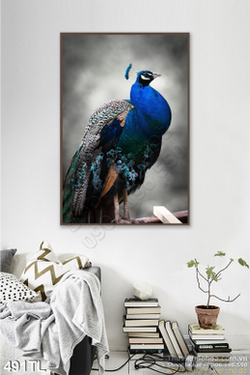 Tranh lụa 3D chim công treo tường phòng khách