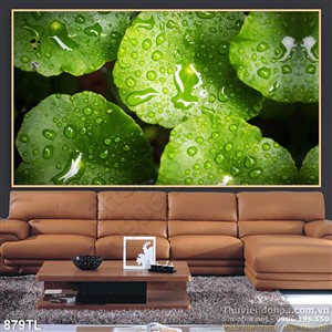 Tranh lá cây nghệ thuật trang trí tường