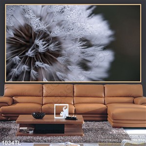 Tranh nhiếp ảnh bò công anh