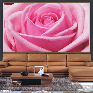 Tranh nhiếp ảnh hoa hồng nghệ thuật